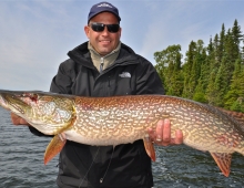 Chad-43.5
